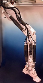 Нога робота, работающая на воздушных мышцах.